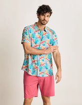 Multicolour