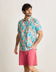 Multicolour