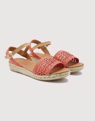 Coral