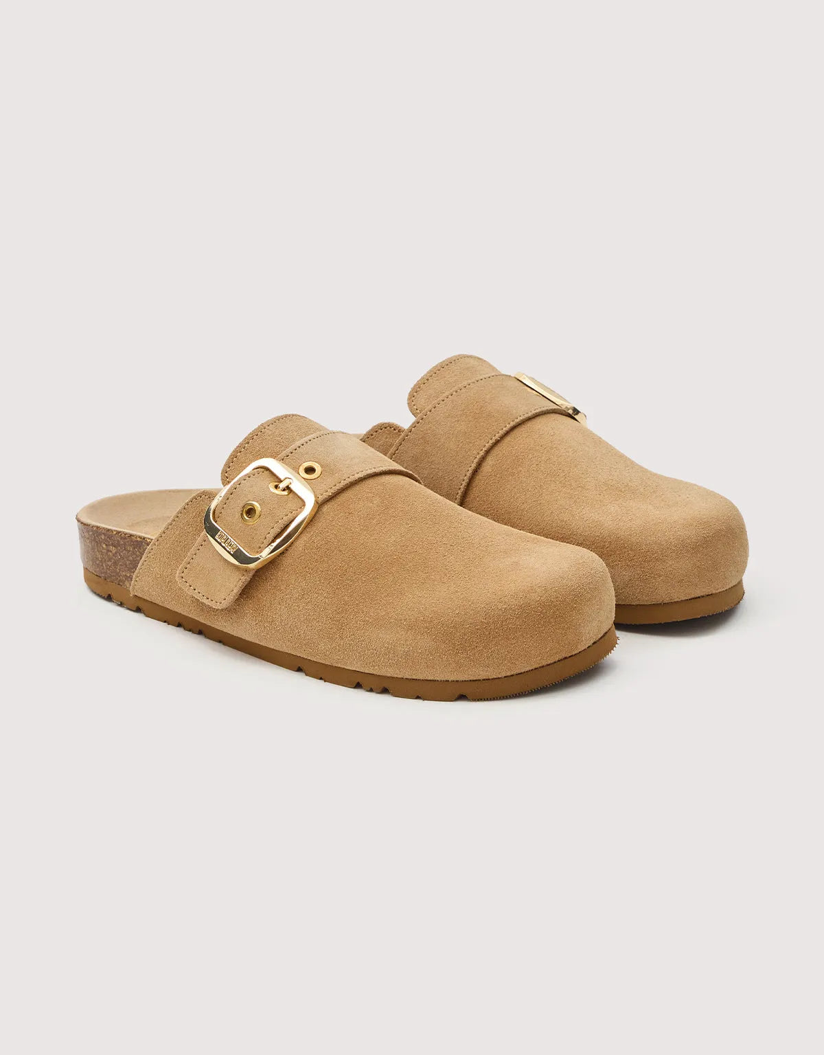 Camel