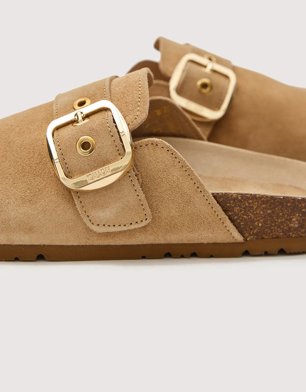 Camel