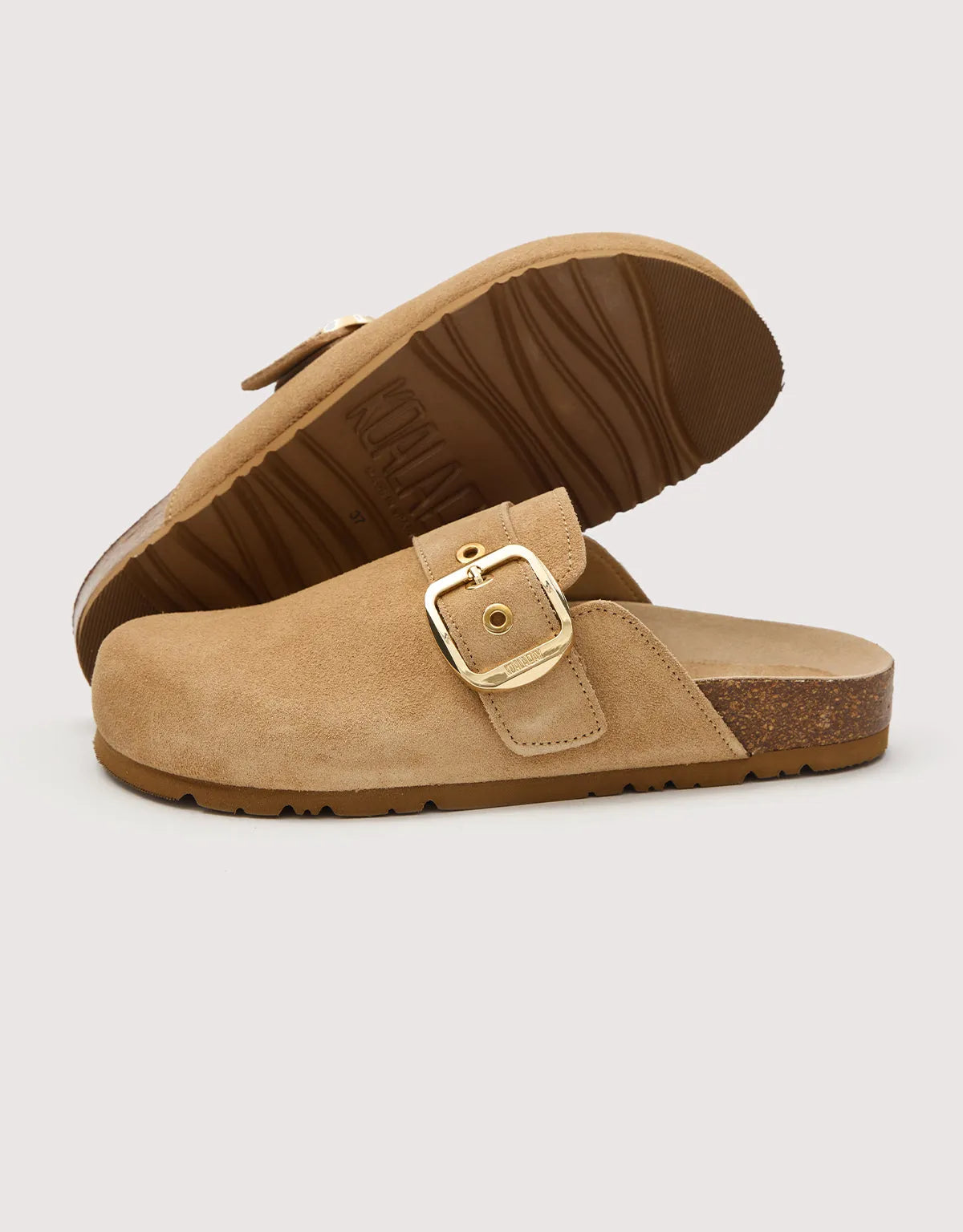 Camel