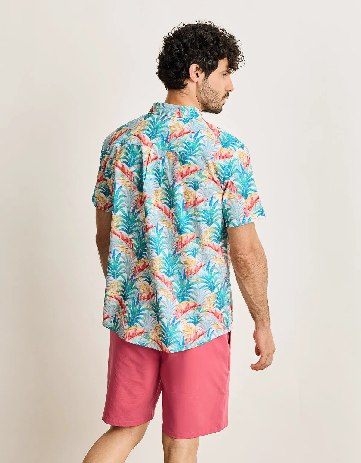 Multicolour