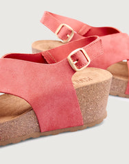Coral