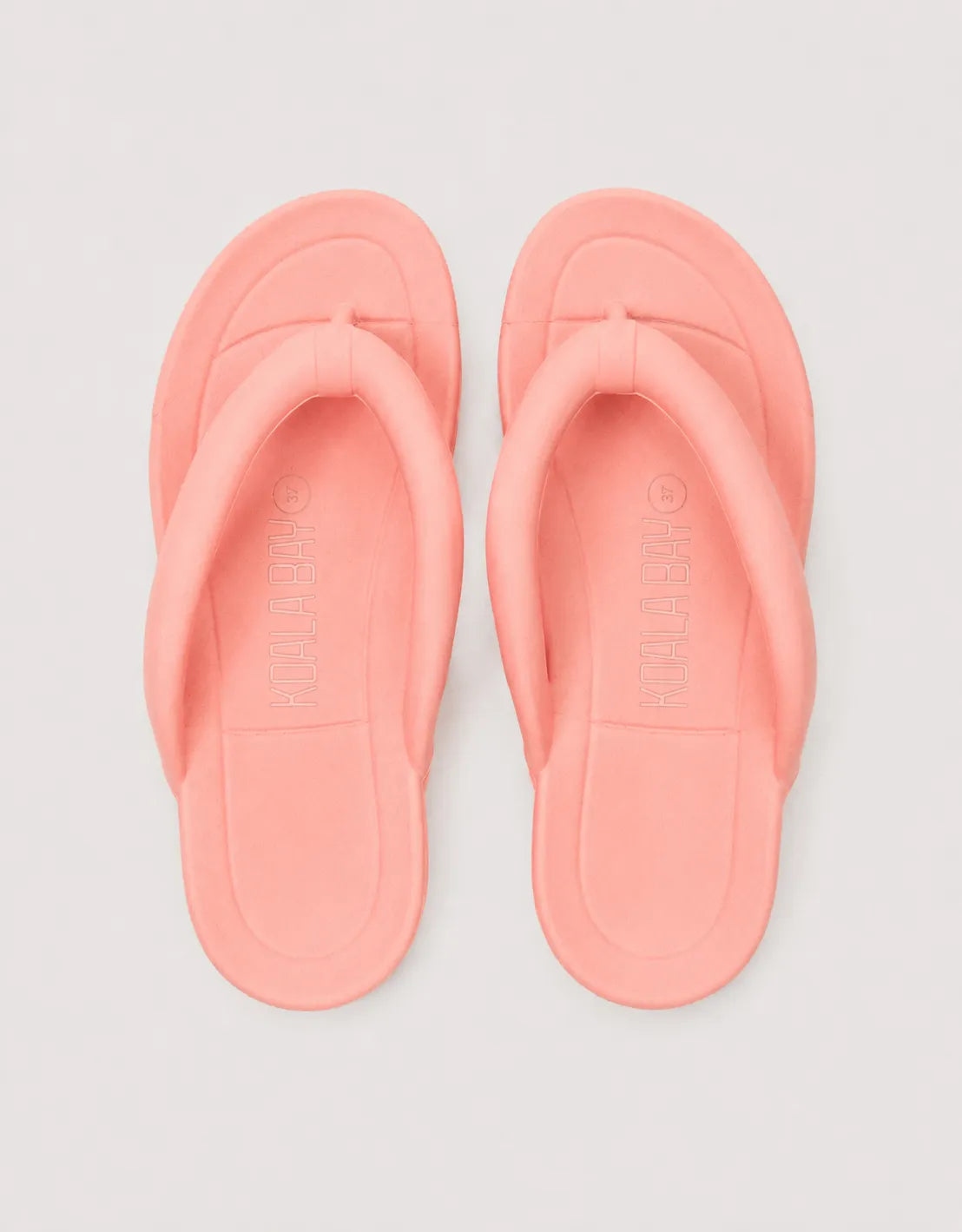 Coral